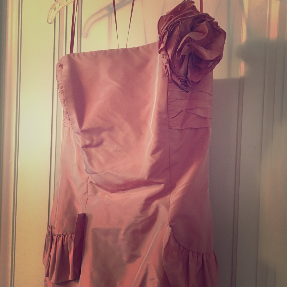 gorgeous evening gown - 100% silk by Teri Jon.